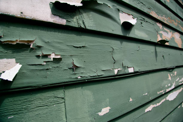 Best Construction Debris Removal  in Wildwood, FL